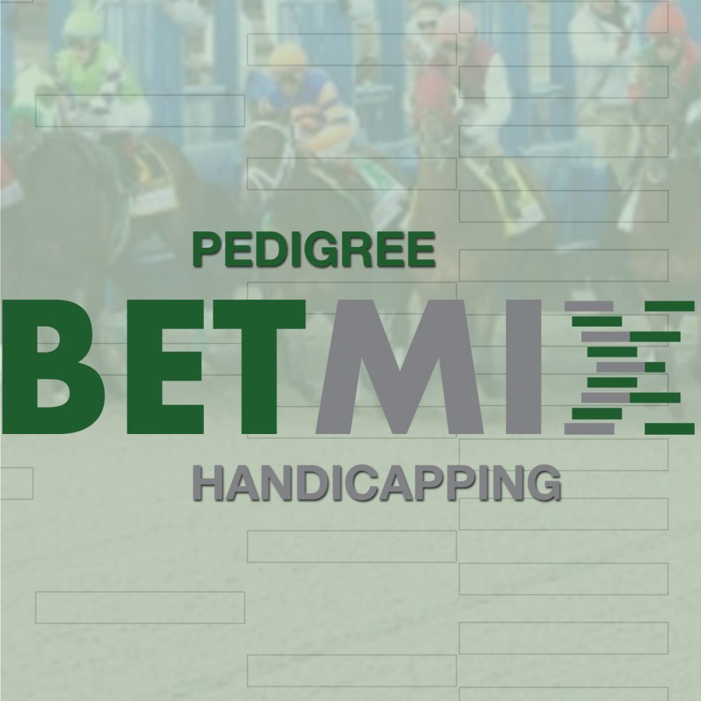 Betmix Pedigree Handicapping Visual