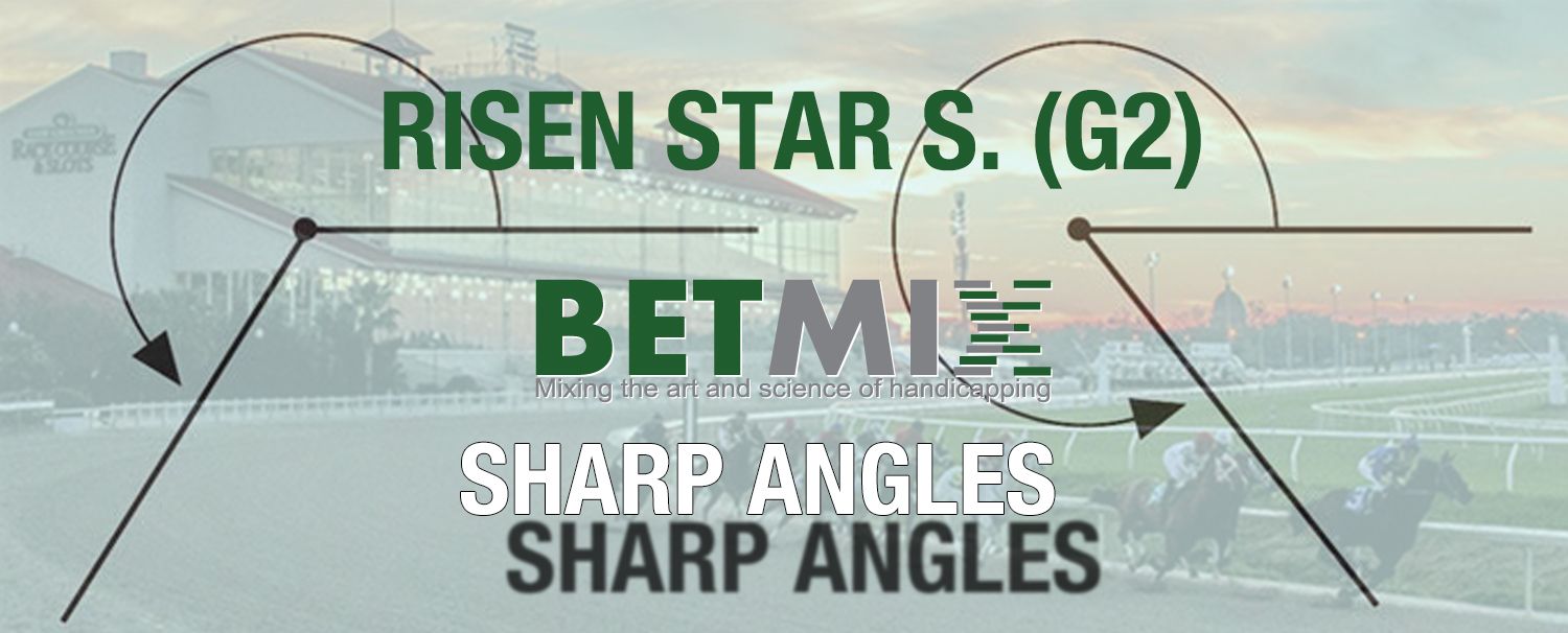Sharp Angle – Risen Star S. | BETMIX